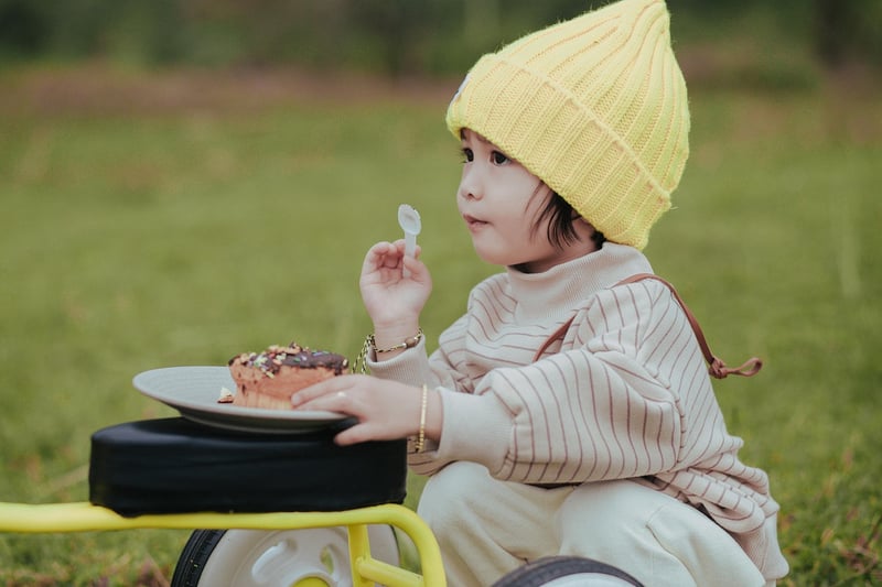 Outdoor Picnic